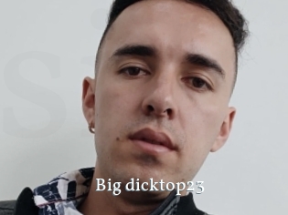 Big_dicktop23