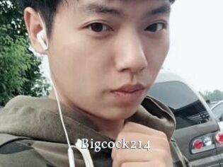 Bigcock214
