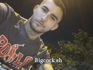 Bigcock_sh