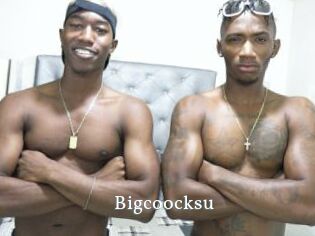 Bigcoocksu