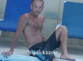 Bigdick22cm