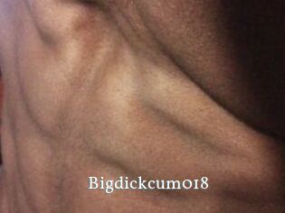 Bigdickcum018