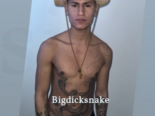 bigdicksnake SexyIdol