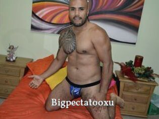 Bigpectatooxu