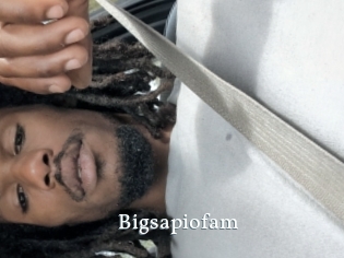 Bigsapiofam