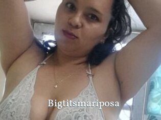 Bigtitsmariposa