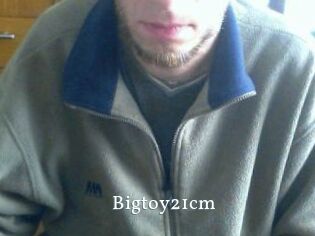 Bigtoy21cm