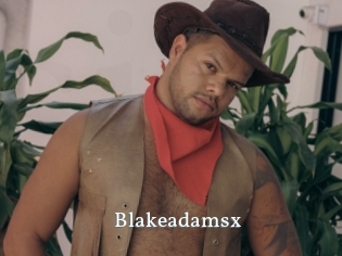 blakeadamsx SexyIdol