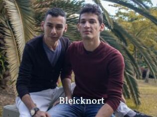Bleicknort
