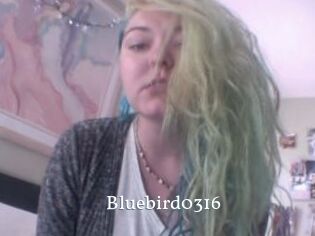 Bluebird0316