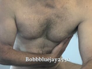 Bobbbluejay2530