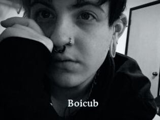 Boicub