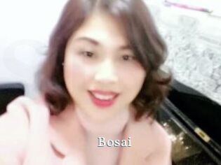 Bosai