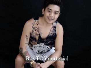 boyTOYmaterial SexyIdol