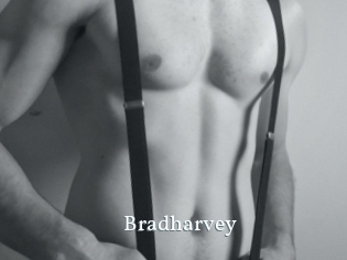 Bradharvey