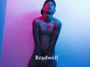 Bradwolf