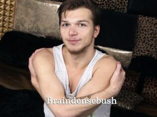 Braindensebush
