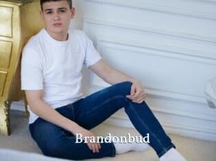 Brandonbud