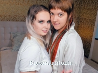 Breeandantonia