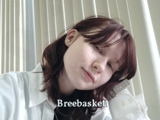 Breebaskett