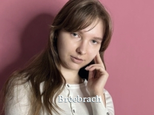 Breebrach