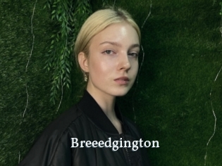 Breeedgington