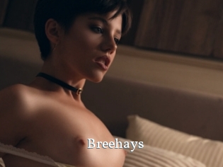 Breehays