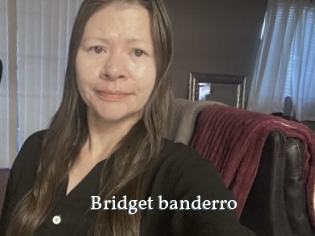 Bridget_banderro
