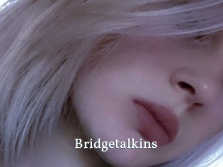 Bridgetalkins