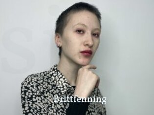 Brittfenning