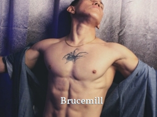 Brucemill