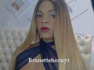 Brunettehorny1