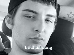 Budkushking