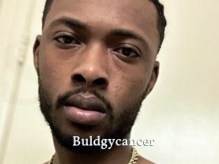 Buldgycancer