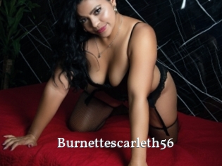 Burnettescarleth56