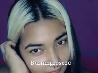 Burningrose20