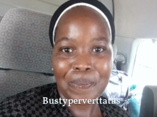 Bustyperverttatas
