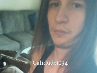 Calidude1134