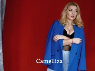 Camelliza