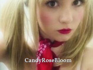 CandyRoseBloom