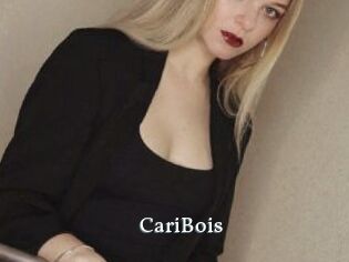 CariBois