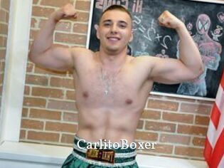 CarlitoBoxer