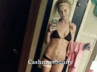 Cashmerebunny