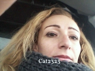 Cat2323