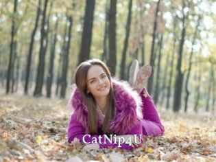 CatNip4U