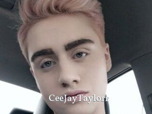 CeeJayTaylorr
