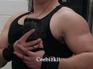 Ceebizkit