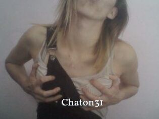 Chaton31