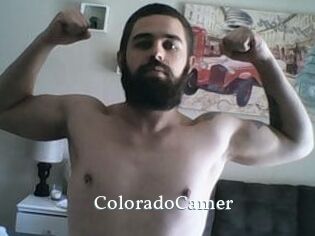 ColoradoCamer