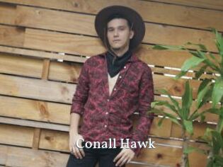 Conall_Hawk
